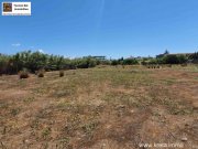 Kokkinos Pyrgos Kreta, Kokkinos Pyrgos, bebaubares Grundstück 3800m² 200m bis zum Meer Grundstück kaufen